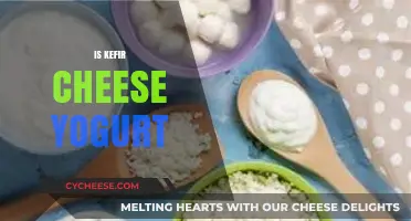 Kefir, Cheese, or Yogurt: Unraveling the Fermented Dairy Mystery