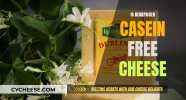 Kerrygold Cheese: Is It Casein-Free?