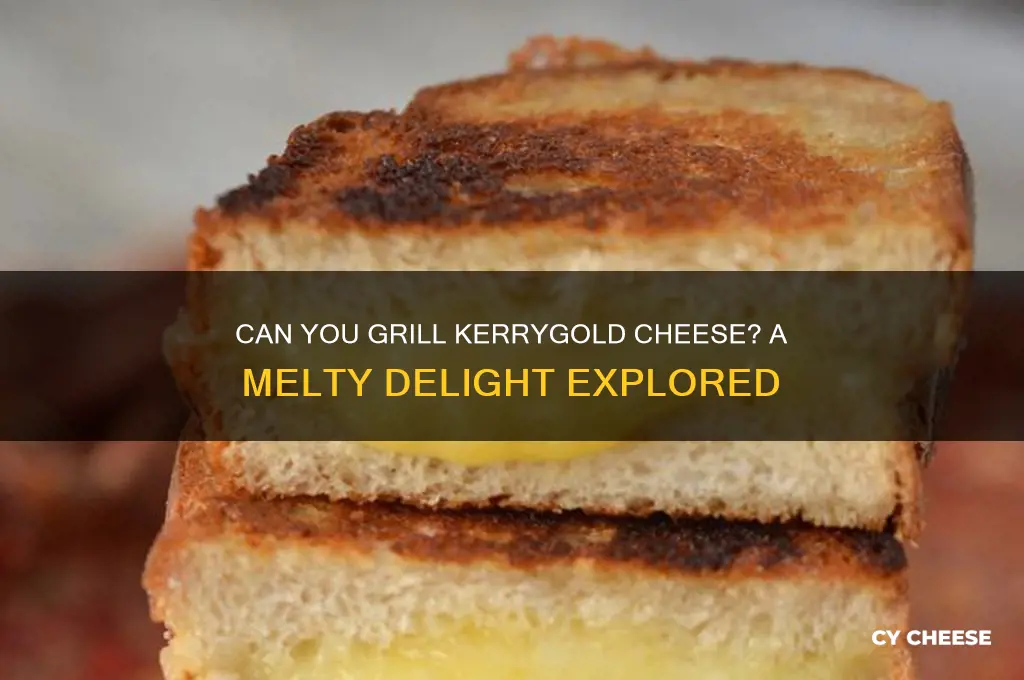 is kerrygold chees grillable cheese