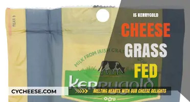 Is Kerrygold Cheese Grass-Fed? Uncovering the Truth Behind the Brand