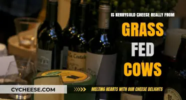 Kerrygold Cheese: Grass-Fed Claims and Irish Dairy Truths