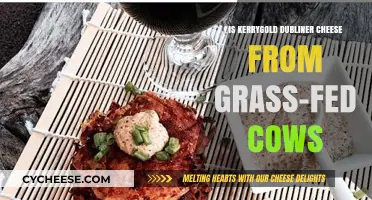 Kerrygold Dubliner Cheese: Grass-Fed Cows and Irish Tradition Explored