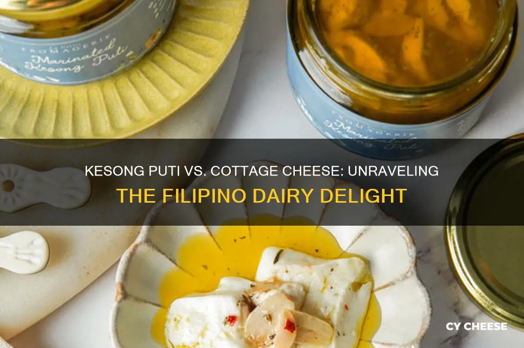is kesong puti cottage cheese