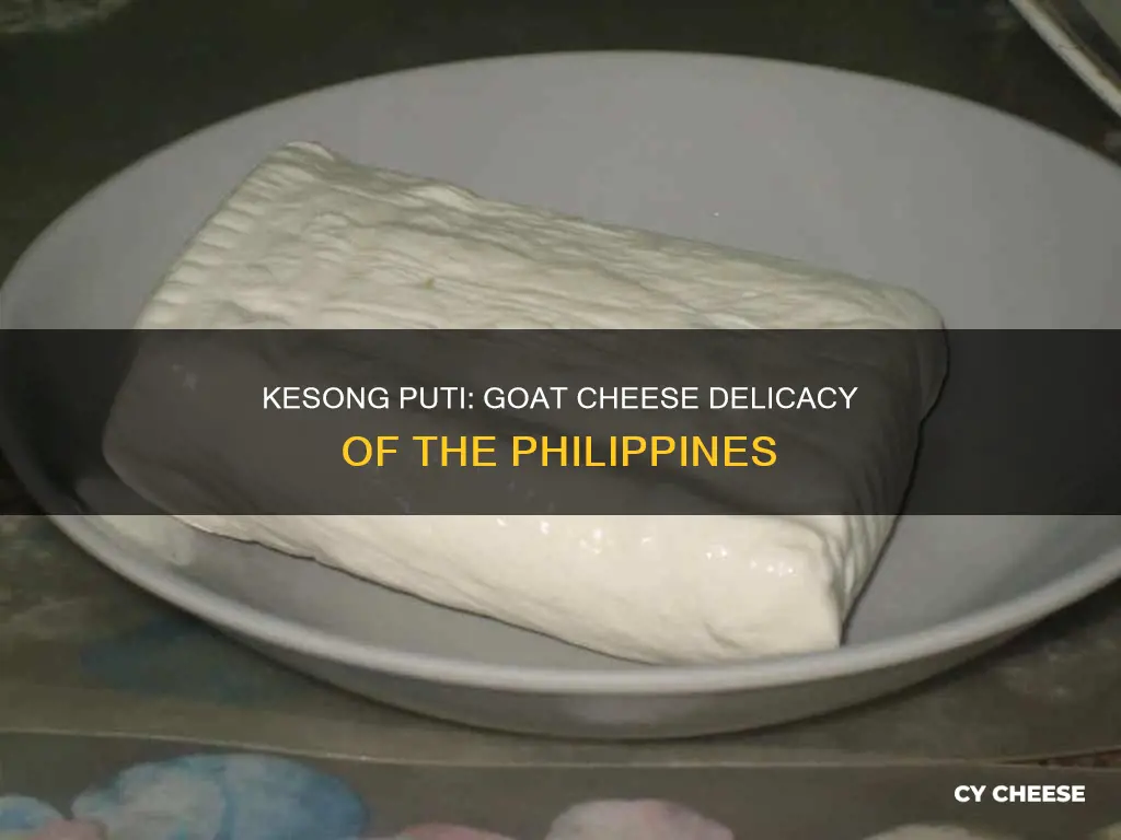 is kesong puti goat cheese