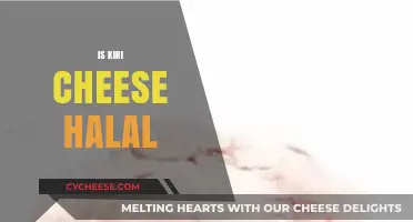Is Kiri Cheese Halal? Understanding Ingredients and Certification