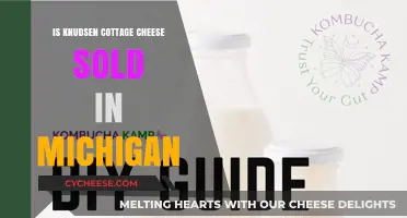 Where to Find Knudsen Cottage Cheese in Michigan: Availability Guide