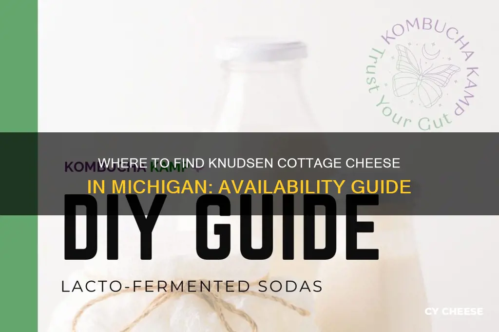 is knudsen cottage cheese sold in michigan