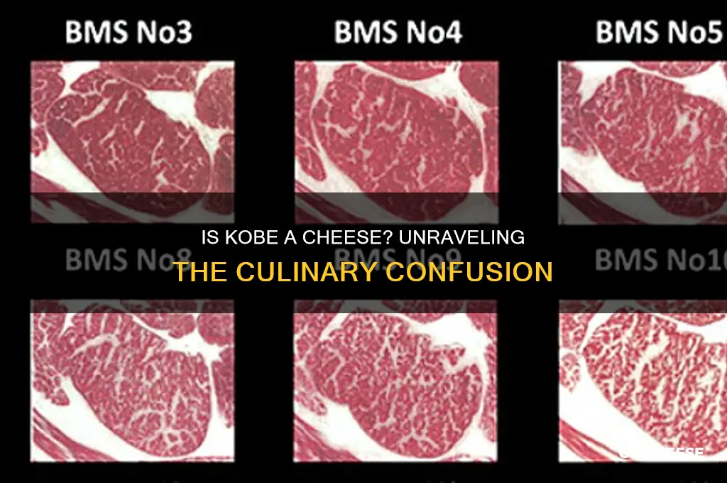 is kobe a cheese