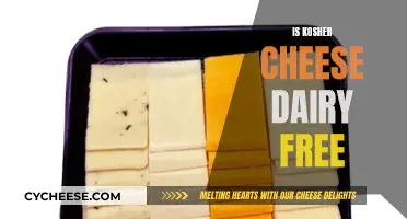 Kosher Cheese: Is It Dairy-Free?