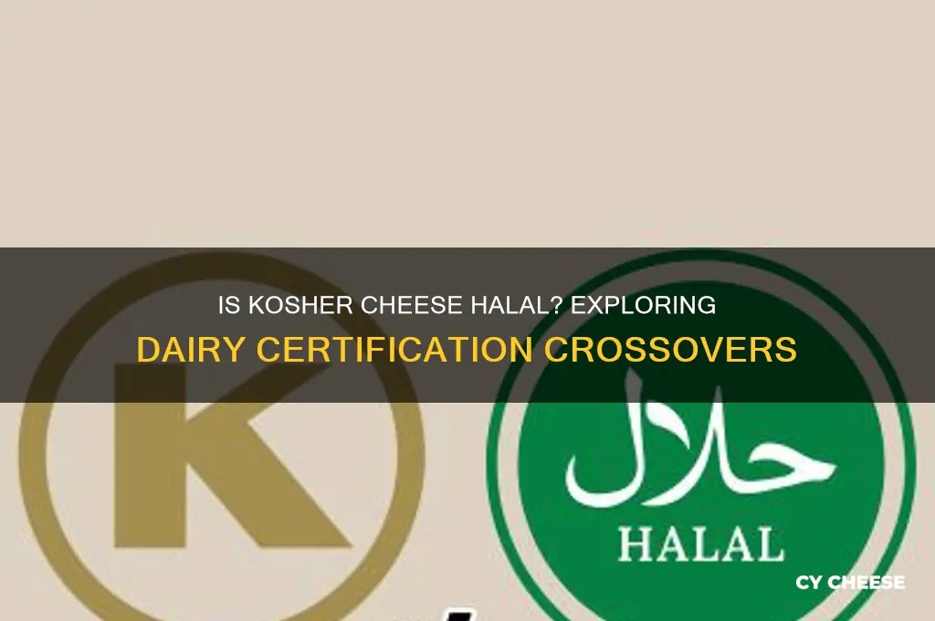 is kosher cheese halal
