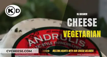 Is Kosher Cheese Vegetarian? Exploring Dairy, Rennet, and Dietary Laws