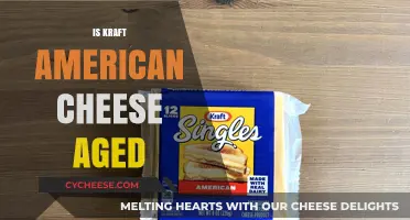Is Kraft American Cheese Aged? Unraveling the Mystery Behind Its Flavor