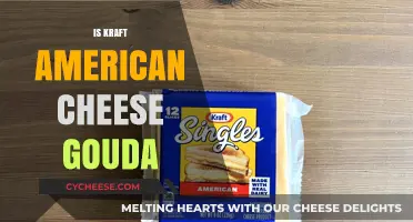 Is Kraft American Cheese Gouda? Unraveling the Cheesy Mystery
