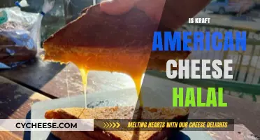 Is Kraft American Cheese Halal? Exploring Ingredients and Certification