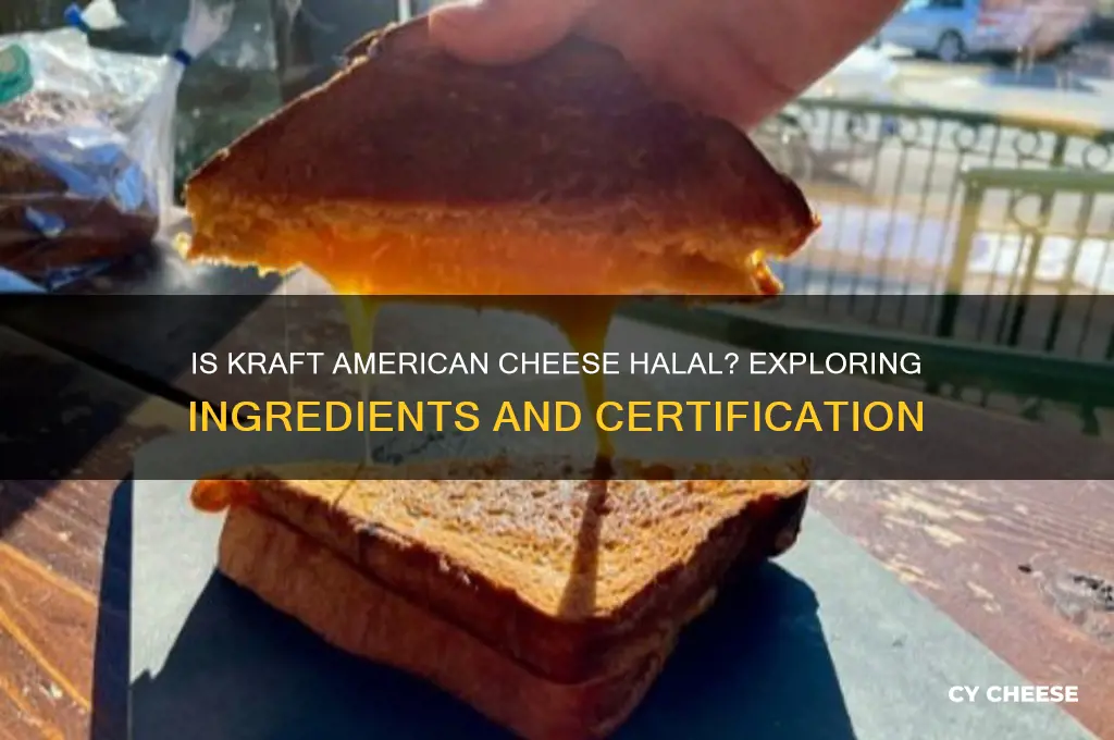 is kraft american cheese halal