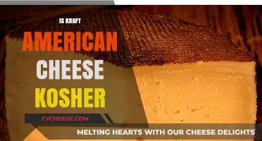 Is Kraft American Cheese Kosher? Exploring Certification and Ingredients