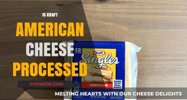 Is Kraft American Cheese Processed? Uncovering the Truth Behind the Slice