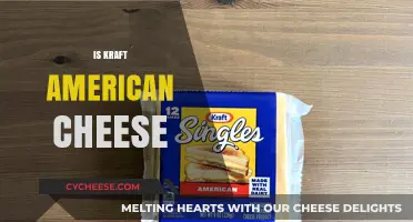 Is Kraft American Cheese Real? Unraveling the Mystery Behind the Slice