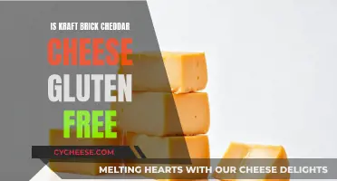 Kraft Brick Cheddar: Gluten-Free Cheese or Not?