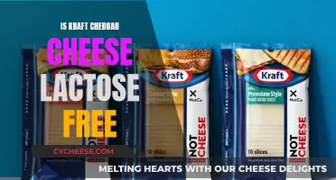 Kraft Cheddar: Lactose-Free or Not? Unraveling the Cheese Mystery