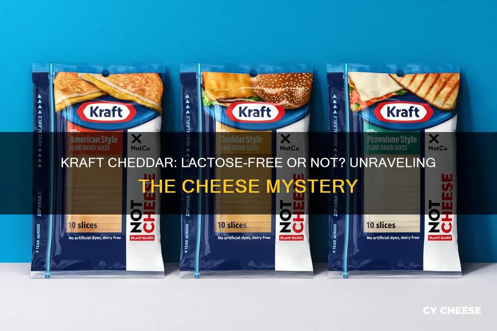 is kraft cheddar cheese lactose free