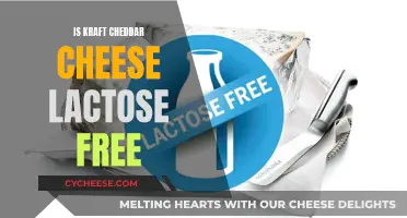 Kraft Cheddar Cheese: Lactose-Free or Not?