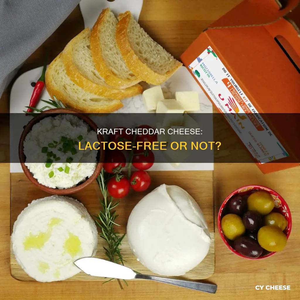 is kraft cheddar cheese lactose free