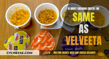 Kraft Cheddar vs. Velveeta: Unraveling the Cheese Mystery