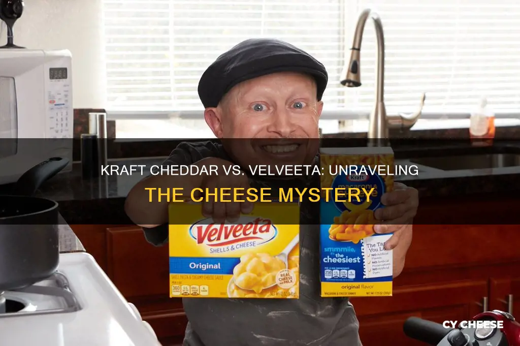 is kraft cheddar cheese the same as velveeta