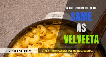 Kraft Cheddar and Velveeta: What's the Real Difference?