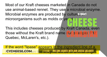 Is Kraft Cheese Canadian? Unraveling the Origin of a Dairy Icon