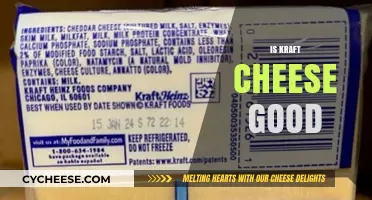 Is Kraft Cheese Good? A Tasty Debate on Quality and Flavor