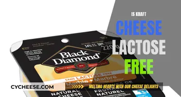 Kraft Cheese: Lactose-Free or Not?