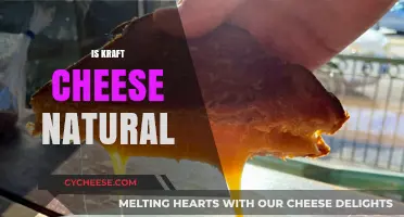 Is Kraft Cheese Natural? Uncovering Ingredients and Processing Truths