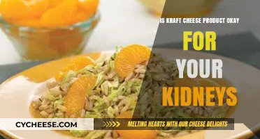 Kraft Cheese Product: Kidney-Friendly or a Health Concern?