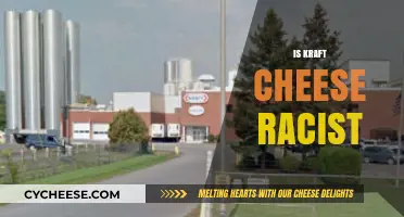 Is Kraft Cheese Racist? Unpacking the Controversy and Brand Response