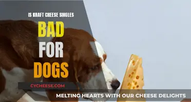 Kraft Cheese Singles: Are They Safe for Dogs?