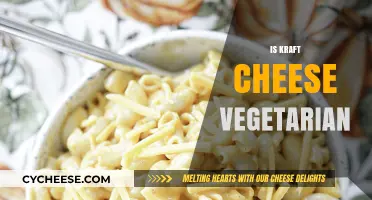 Is Kraft Cheese Vegetarian? Unraveling the Ingredients and Ethical Concerns