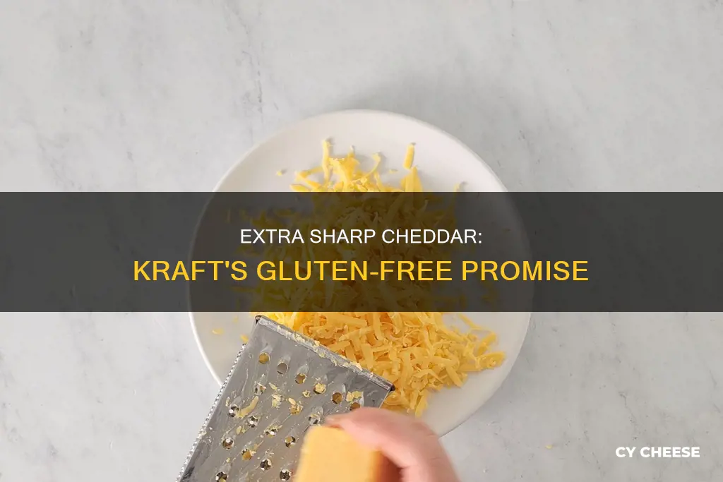 is kraft extra sharp cheddar block cheese gluten free