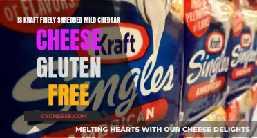 Kraft Mild Cheddar: Gluten-Free Cheese or Not?