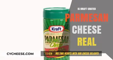 Is Kraft Grated Parmesan Cheese Authentic?