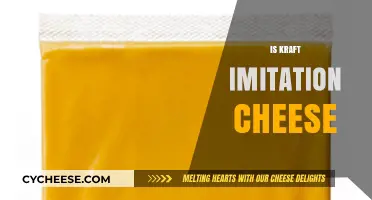 Is Kraft Imitation Cheese Real or Just a Dairy Substitute?