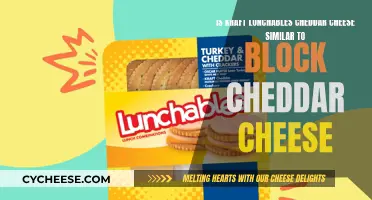 Kraft Lunchables Cheddar: A Block Cheddar Comparison