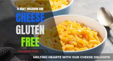 Gluten-Free Kraft Macaroni: Is It Possible?