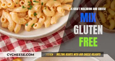Gluten-Free Kraft Macaroni: Is It Possible?