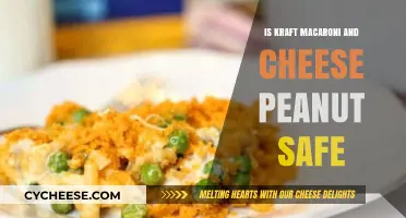 Kraft Macaroni and Cheese: Safe for Peanut Allergies?