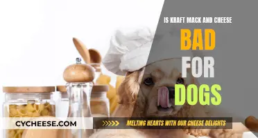 Is Kraft Mac and Cheese Safe for Dogs?