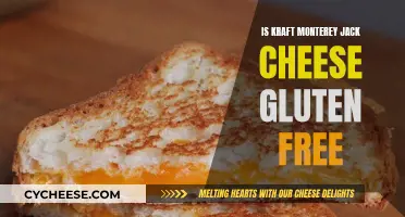 Gluten-Free Diets: Is Kraft Monterey Jack Cheese Safe?