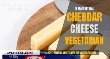 Is Kraft Natural Cheddar Cheese Vegan-Friendly? Unveiling the Vegetarian Truth