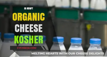 Is Kraft Organic Cheese Kosher? Exploring Certification and Dietary Compliance